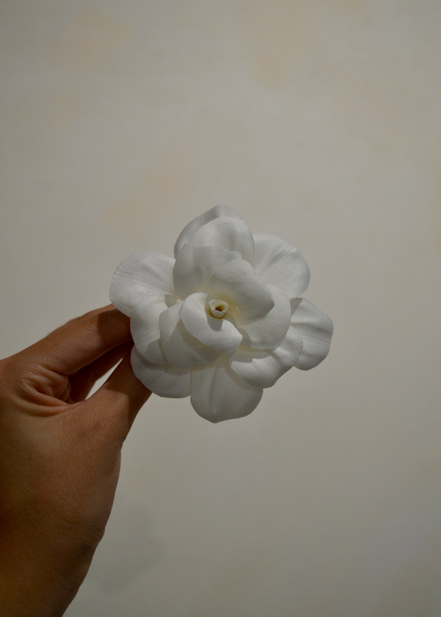 Flor Gardenia